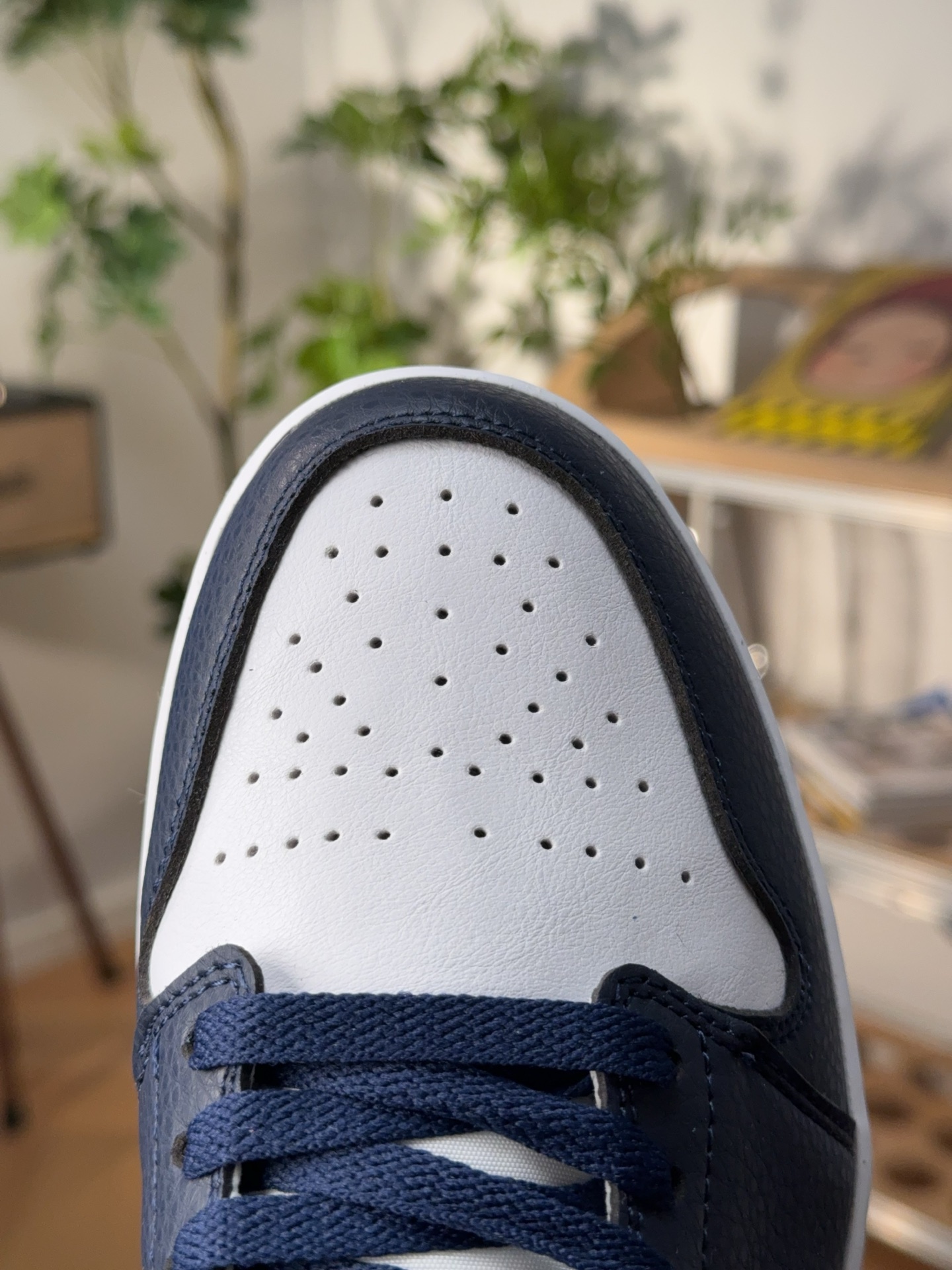 Nike Jordan